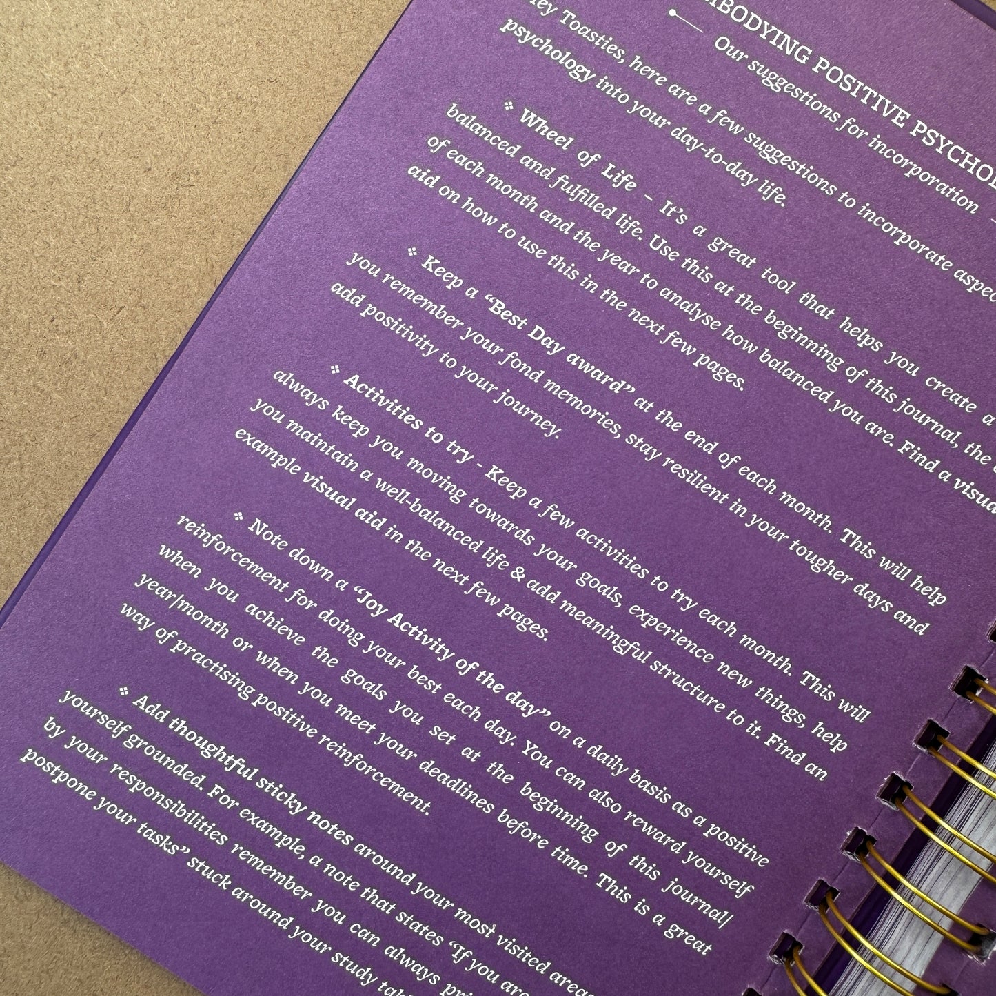 Purple Activity Journal (Undated, B5 Plain)