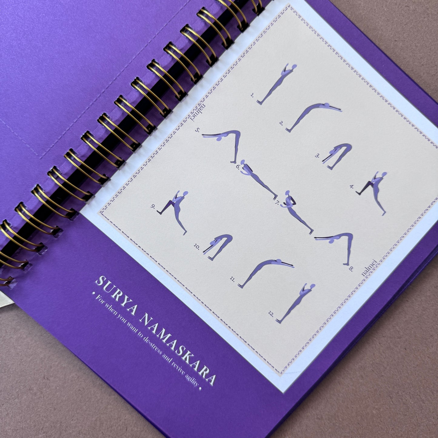 Purple Activity Journal (Undated, B5 Plain)