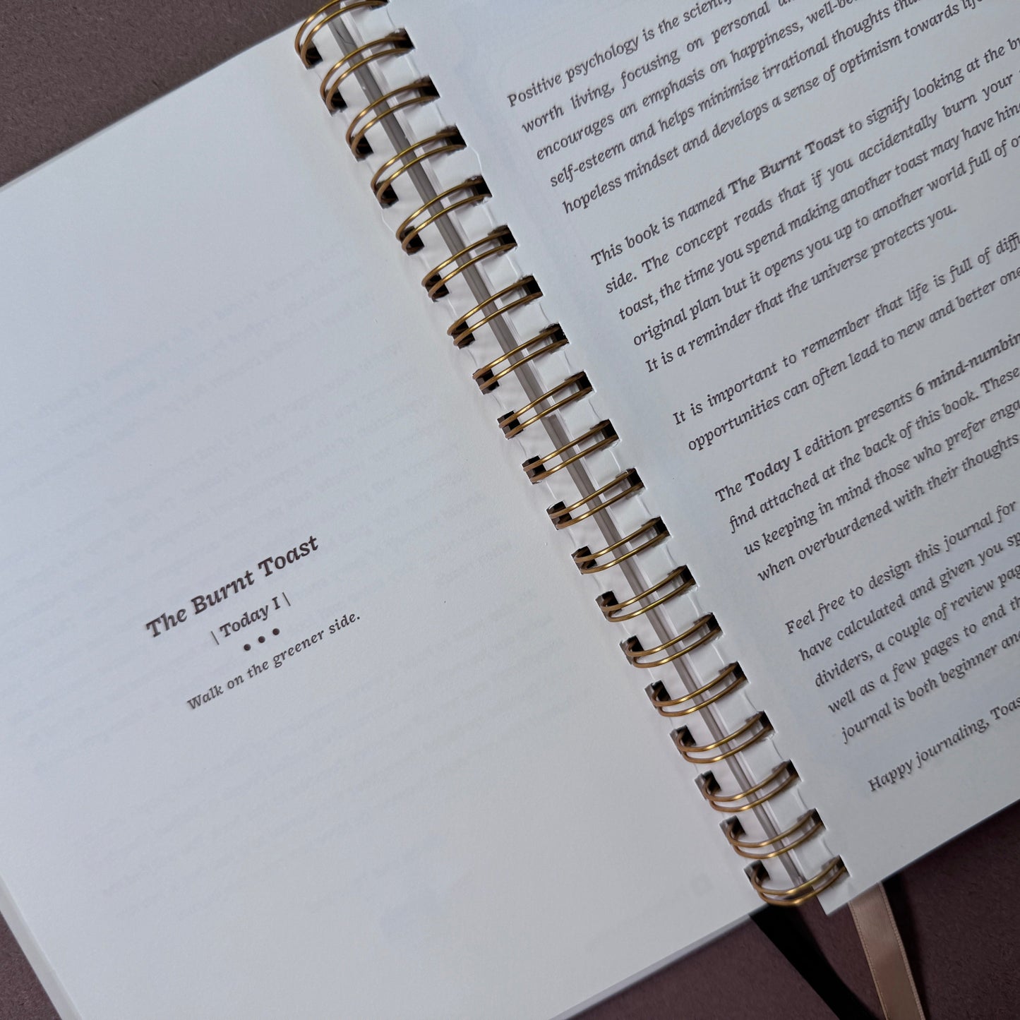 Today I - Undated Activity Journal - Beige
